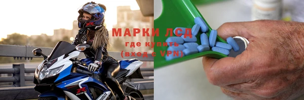 ГАЛЛЮЦИНОГЕННЫЕ ГРИБЫ Коряжма