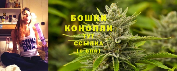 ГАЛЛЮЦИНОГЕННЫЕ ГРИБЫ Коряжма