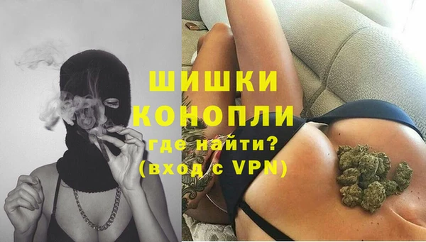 ГАЛЛЮЦИНОГЕННЫЕ ГРИБЫ Коряжма