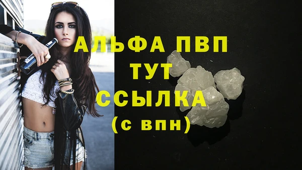 ГАЛЛЮЦИНОГЕННЫЕ ГРИБЫ Коряжма