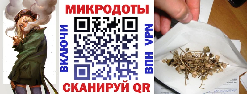 Псилоцибиновые грибы Psilocybe Кодинск