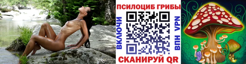 Купить где Кодинск Галлюциногенные грибы MAGIC MUSHROOMS